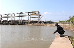 Vĩnh Long ứng phó xâm nhập mặn trong cao điểm mùa khô