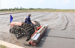 Tích hợp công nghệ số, tăng cơ giới hóa ngành lúa gạo