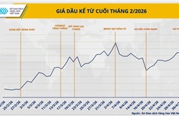 Giá dầu điều chỉnh nhưng áp lực chuỗi cung ứng chưa hạ nhiệt