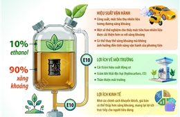 Một số lợi ích của xăng sinh học E10