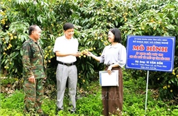 Kết nối 36 vườn vải đẹp ở Bắc Ninh phục vụ khách tham quan, trải nghiệm