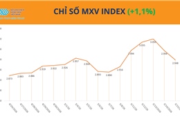 Thị trường hàng hóa nguyên liệu rung lắc, MXV-Index vẫn bám đỉnh