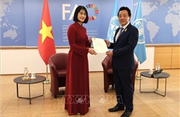 FAO luôn coi trọng Việt Nam là đối tác quan trọng trong khu vực