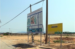 Làm rõ vướng mắc gây chậm tiến độ dự án điện hạt nhân Ninh Thuận 1 và 2