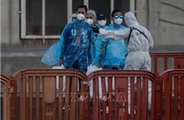 Virus Hanta: Thêm 1 ca mắc mới trong nhóm người Tây Ban Nha đang cách ly