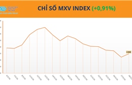 MXV-Index lấy lại sắc xanh sau 7 phiên liên tiếp suy yếu