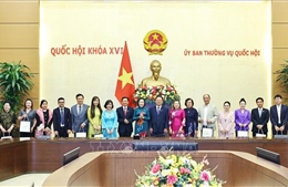 Phát huy vai trò đội ngũ trí thức, doanh nhân trong phát triển đất nước