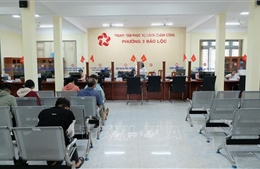 Lâm Đồng: Hỗ trợ tới 50% chi phí cho doanh nghiệp nhỏ và vừa chuyển đổi số