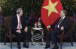 Tổng Bí thư, Chủ tịch nước Tô Lâm tiếp lãnh đạo các doanh nghiệp và tổ chức tài chính lớn của Singapore