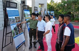 Khám phá bản sắc - Kết nối biển rừng tại Quảng Ngãi