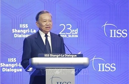 Lòng tin chiến lược - nền tảng của hòa bình và phát triển bền vững