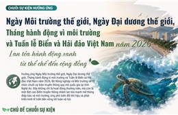 Chuỗi sự kiện hưởng ứng Ngày Môi trường thế giới