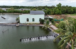 Hướng tới mục tiêu Net Zero - Bài 2: Kinh tế xanh và năng lượng sạch