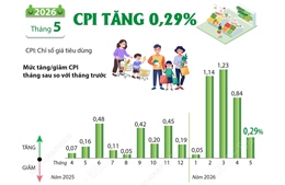 CPI tháng 5/2026 tăng 0,29%