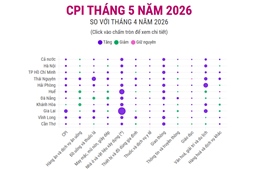 CPI tháng 5 năm 2026 tăng 0,29%