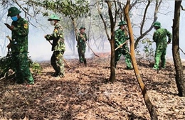 Điều tra nguyên nhân vụ cháy rừng ven biển Quảng Trị
