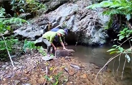 Cộng đồng chung tay bảo tồn động vật hoang dã