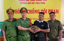 Phát hiện tê tê Java quý hiếm bò vào sân nhà dân