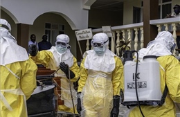 WHO cảnh báo dịch  Ebola đang lan rộng nhanh chóng