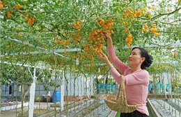 Khơi dậy khát vọng làm giàu, xây dựng nông thôn mới bền vững
