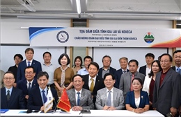 Tiềm năng của địa phương Việt Nam trong hợp tác với doanh nghiệp Hàn Quốc