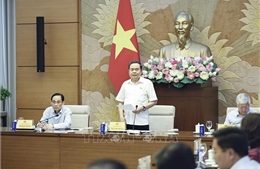 Chủ tịch Quốc hội Trần Thanh Mẫn làm việc về công tác đối ngoại