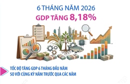 Đồ họa GDP 6 tháng năm 2026