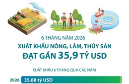 Sáu tháng năm 2026: Xuất khẩu nông, lâm, thủy sản đạt gần 35,9 tỷ USD   