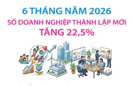 6 tháng năm 2026: Số doanh nghiệp thành lập mới tăng 22,5%