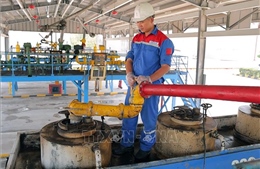 Sẽ có thêm 6 thương nhân đầu mối được cấp phép phối trộn E10 trong tháng 7