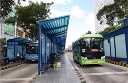 Chấn chỉnh bất cập khi triển khai miễn phí vé xe buýt tại TP Hồ Chí Minh