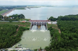 Tăng năng lực quản lý, vận hành an toàn hồ chứa nước Dầu Tiếng