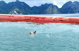Khẩn trương tìm kiếm 2 người mắc kẹt trong vụ lật tàu tại đặc khu Vân Đồn