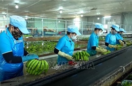Minh bạch dữ liệu, nông sản rộng cửa xuất khẩu