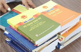 Hoàn thiện Bộ luật Tố tụng dân sự đáp ứng yêu cầu phát triển mới