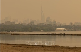 Thành phố Toronto (Canada) có chất lượng không khí kém nhất thế giới do cháy rừng
