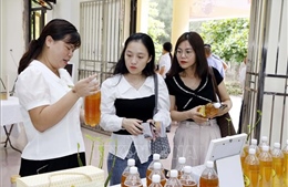 Gây dựng thương hiệu mật ong từ cánh rừng ngập mặn