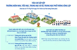 Tiêu chí sắp xếp trường mầm non, tiểu học, trung học cơ sở, trung học phổ thông công lập