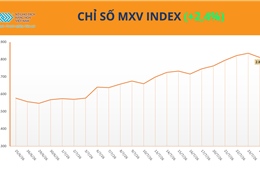 Lực mua áp đảo, MXV-Index tăng tuần thứ 5 liên tiếp