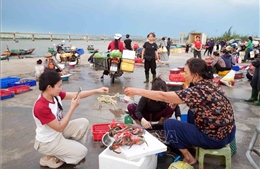 Lan tỏa vẻ đẹp bình dị, chân thực của quê hương trên nền tảng số