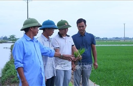 Chuyển biến tích cực từ đội ngũ cán bộ trẻ gần dân, sát dân