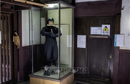 Khám phá thế giới bí mật của những Ninja Nhật Bản