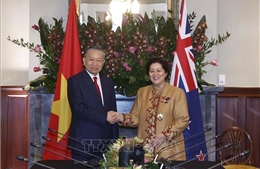 Tổng Bí thư, Chủ tịch nước Tô Lâm hội kiến Toàn quyền New Zealand