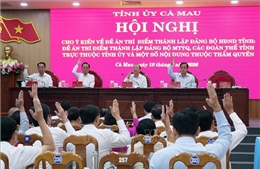 Tỉnh ủy Cà Mau kiện toàn hệ thống chính trị nâng cao hiệu lực hiệu quả trong tình hình mới