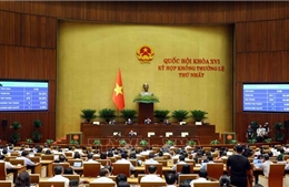 Thông qua Luật sửa đổi, bổ sung một số điều của Luật Trách nhiệm bồi thường của Nhà nước