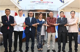 59 năm ASEAN: Khẳng định tình đoàn kết và hợp tác hữu nghị ASEAN - Cuba