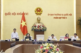 UBTV Quốc hội cho ý kiến về sửa đổi nhiều dự án luật