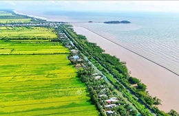 Cà Mau ứng phó El Nino với trọng tâm bảo đảm nước sinh hoạt