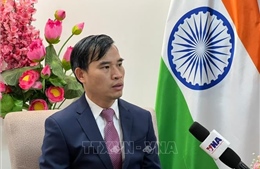 Thương mại Việt Nam-Ấn Độ tăng trưởng mạnh mẽ