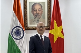 Việt Nam chủ động đóng góp, phát huy vai trò Đối tác trong BRICS